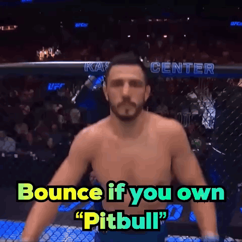 A Man In A Boxing Ring Says " Bounce If You Own " Pitbull GIF