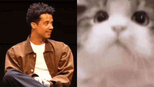 A Man In A Brown Jacket Sits Next To A Picture Of A Cat 'S Face GIF