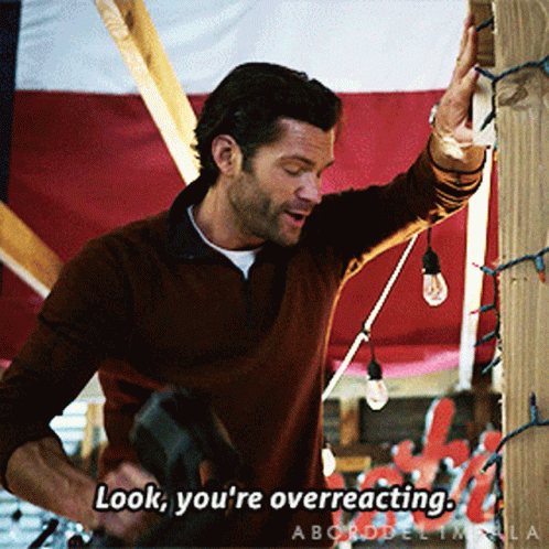 a man in a brown sweater says look you 're overreacting in front of a flag