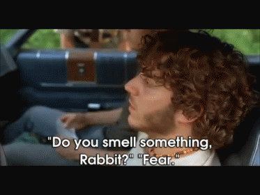 A Man In A Car Says " Do You Smell Something Rabbit ? " GIF