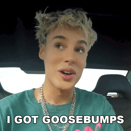 A Man In A Car With The Words I Got Goosebumps GIF