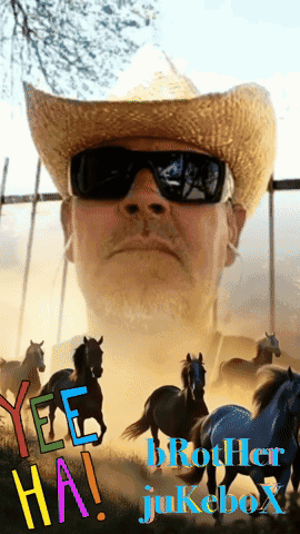 A Man In A Cowboy Hat And Sunglasses Stands In Front Of A Herd Of Horses With The Words Yee Ha Brother Jukebox GIF