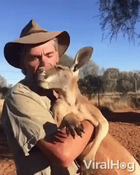 A Man In A Cowboy Hat Is Holding A Kangaroo In His Arms .. GIF