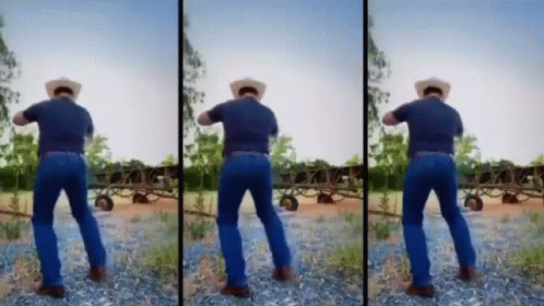 A Man In A Cowboy Hat Is Standing On A Rocky Field . GIF