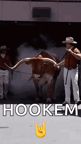 a man in a cowboy hat leads a longhorn bull with the words hookem written on the bottom