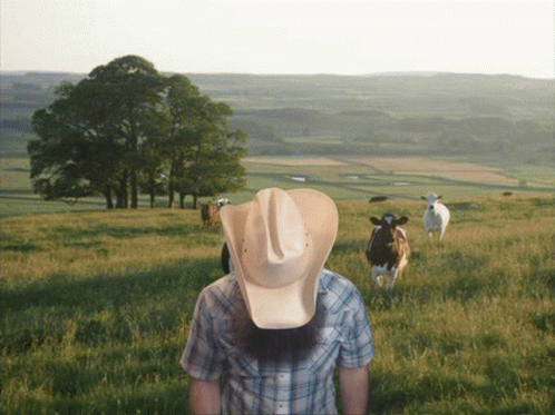 A Man In A Cowboy Hat Stands In A Grassy Field With Cows GIF