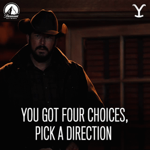 A Man In A Cowboy Hat With The Words You Got Four Choices Pick A Direction Below Him GIF