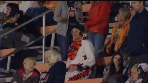 a man in a elvis costume stands in the stands