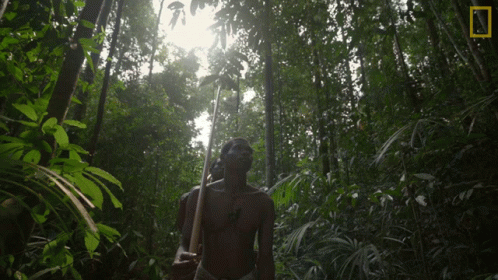 A Man In A Forest With A National Geographic Logo On The Bottom Right GIF