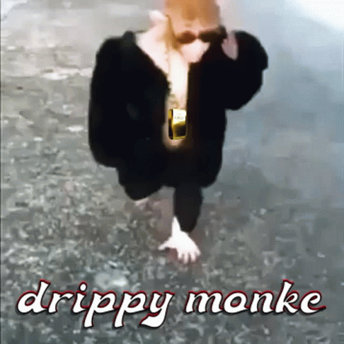 A Man In A Fur Coat Is Walking In The Water With The Words Drippy Monke Below Him GIF
