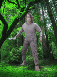A Man In A Gray Shirt Is Standing In The Middle Of The Forest GIF