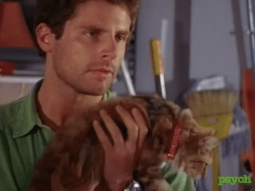 A Man In A Green Shirt Is Holding A Cat In His Lap . GIF