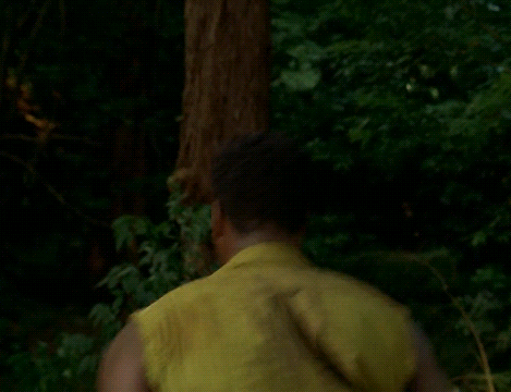 A Man In A Green Vest Is Standing In The Woods Looking At Something . GIF
