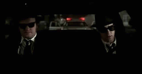 A Man In A Hat And Sunglasses Is Driving A Car With The Words State County Municipal Offender Data System Below Him GIF