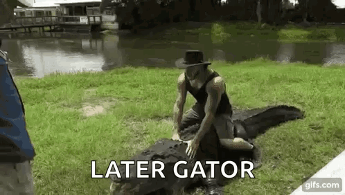 A Man In A Hat Is Kneeling On Top Of A Large Alligator In The Grass . GIF