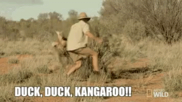 A Man In A Hat Is Running Away From A Kangaroo . GIF