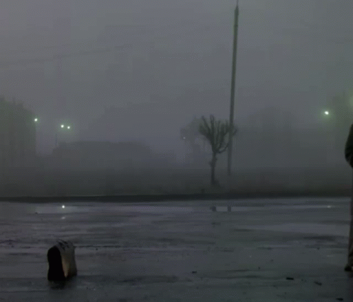 A Man In A Hat Is Standing In A Parking Lot GIF