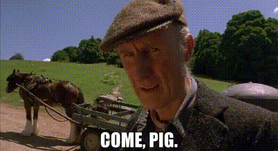 A Man In A Hat Is Standing In Front Of A Horse Drawn Cart And Says Come Pig . GIF