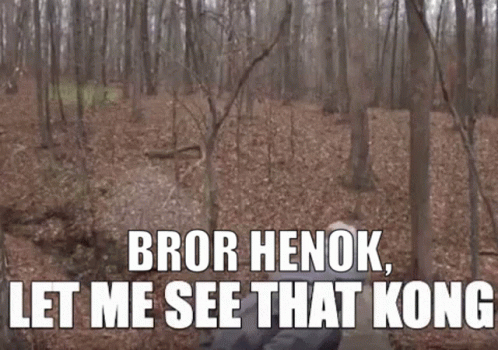 A Man In A Hat Is Standing In The Woods And Says `` Bror Henok , Let Me See That Kong '' GIF