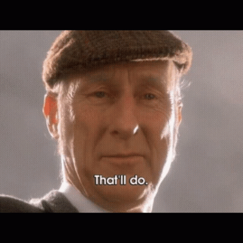 A Man In A Hat Says That 'Ll Do GIF