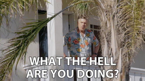 A Man In A Hawaiian Shirt Is Standing In Front Of A House With The Words What The Hell Are You Doing GIF