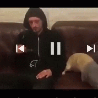 A Man In A Hooded Jacket Is Sitting On A Couch Next To A Dog . GIF