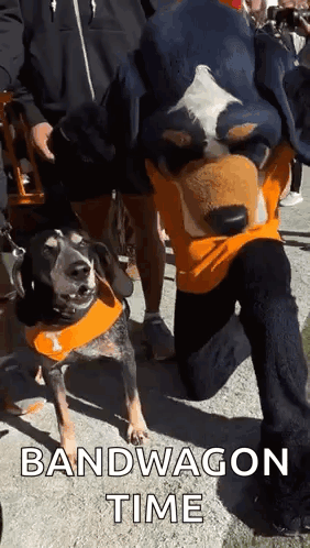 A Man In A Mascot Costume Is Kneeling Next To A Dog Wearing An Orange Bandana . GIF