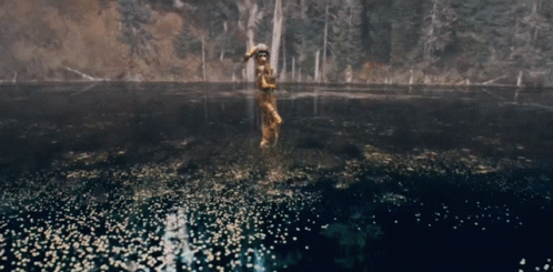A Man In A Native American Outfit Is Standing In A Lake GIF