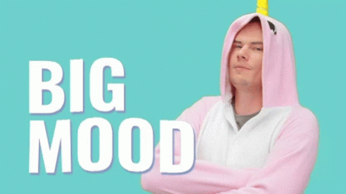 a man in a pink and white unicorn hoodie with big mood written on the bottom