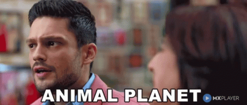 A Man In A Pink Suit Is Talking To A Woman And The Words Animal Planet Are Above Him GIF