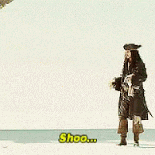 A Man In A Pirate Costume Is Standing On A Beach And Says Shoo ... GIF