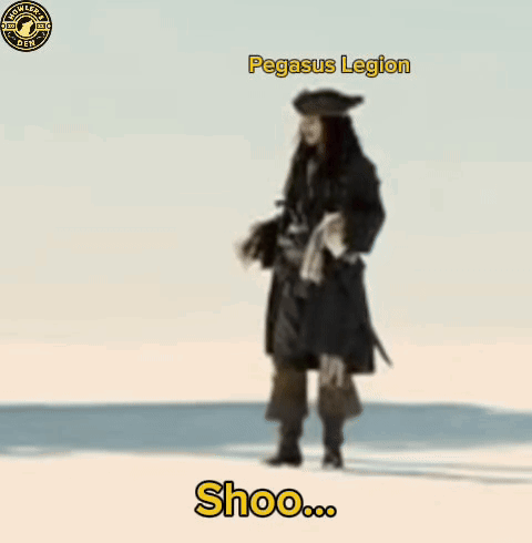 a man in a pirate outfit is standing on a beach with the words pegasus legion written above him