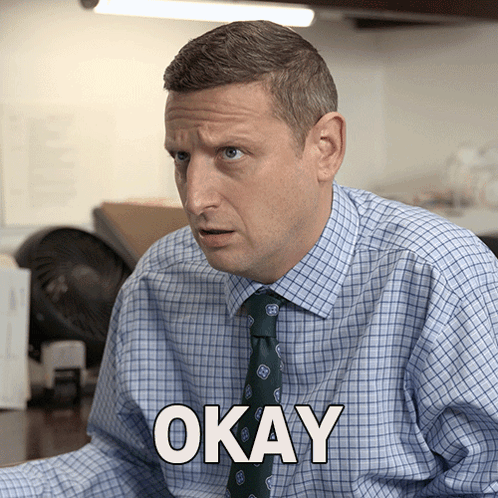 A Man In A Plaid Shirt And Tie Has The Word Okay Above His Head GIF