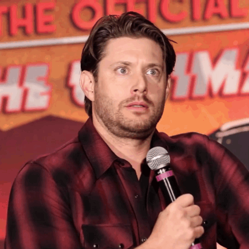 A Man In A Plaid Shirt Is Holding A Microphone In Front Of A Sign That Says " The Official " GIF