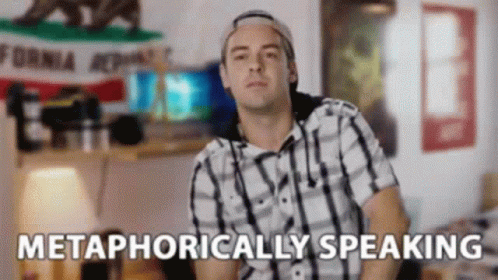 Man In Plaid Shirt Speaking In Front Of California Flag GIF