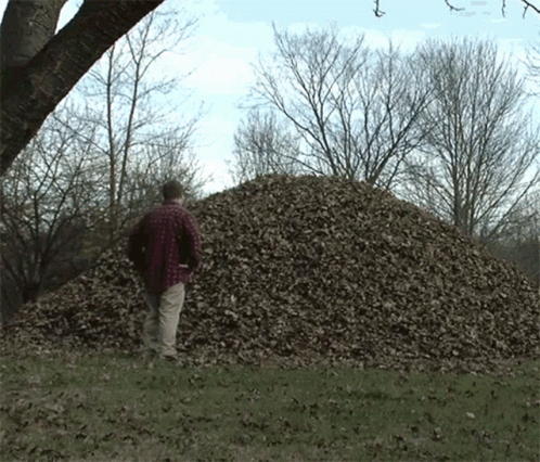 A Man In A Plaid Shirt Is Standing In Front Of A Large Pile Of Leaves GIF
