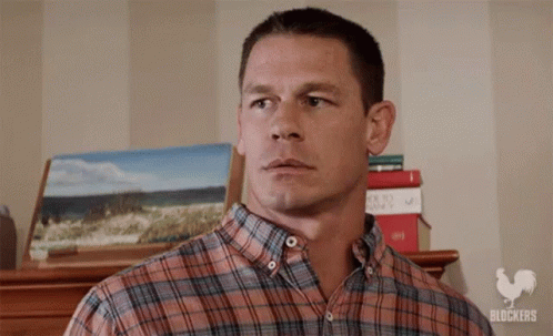 A Man In A Plaid Shirt Is Standing In Front Of A Stack Of Books And A Painting . GIF