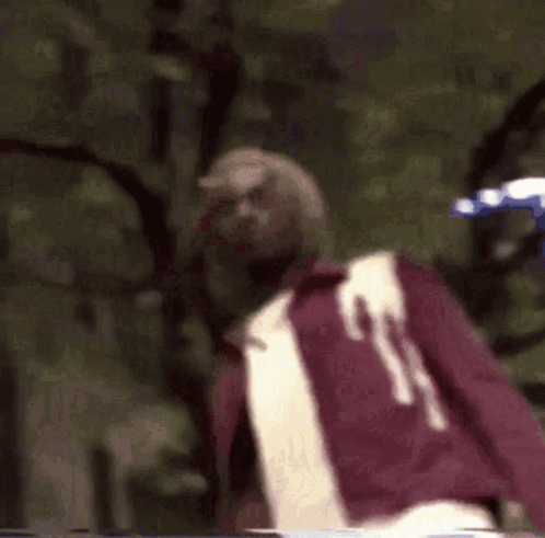 A Man In A Purple Jacket And White Shirt Is Standing In The Woods With His Arms Outstretched . GIF