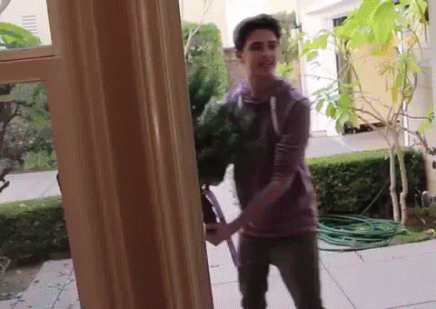 A Man In A Purple Shirt Is Holding A Plant In Front Of A Window GIF