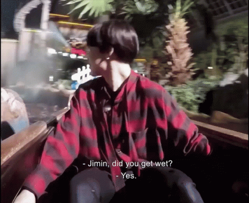 A Man In A Red And Black Plaid Shirt Is Riding A Roller Coaster And Asking Jimin If He Got Wet GIF