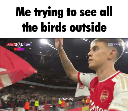 A Man In A Red And White Arsenal Jersey Is Waving A Flag During A Soccer Game GIF
