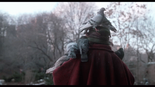 A Man In A Red Cape Is Surrounded By Pigeons On His Back GIF