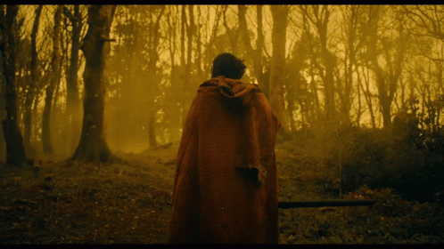A Man In A Red Cape Is Walking Through A Forest GIF