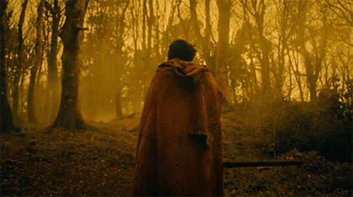 A Man In A Red Cape Stands In The Woods GIF