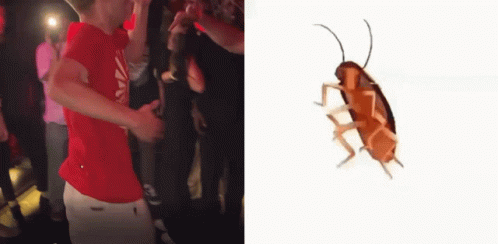 A Man In A Red Shirt Is Dancing In Front Of A Crowd Next To A Cockroach . GIF