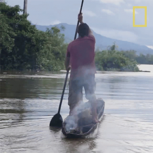 A Man In A Red Shirt Is Paddling A Boat In A River GIF