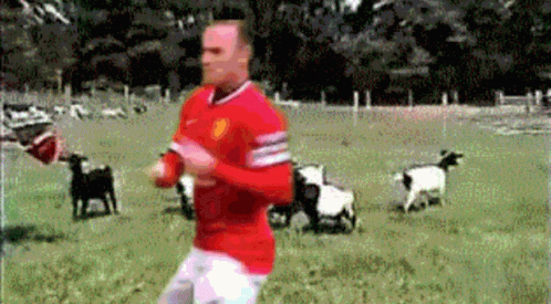 A Man In A Red Shirt Is Running In A Field With Goats GIF