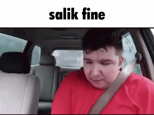 A Man In A Red Shirt Is Sitting In The Back Seat Of A Car With The Words Salik Fine Written Above Him GIF