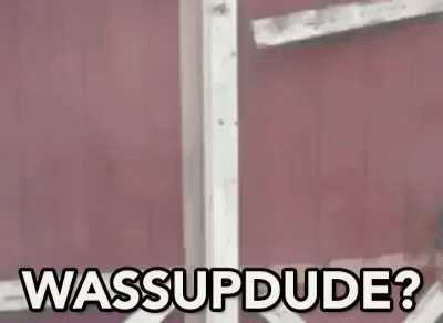 A Man In A Red Shirt Is Standing In A Doorway With The Words `` Wassup Dude '' Written On It . GIF