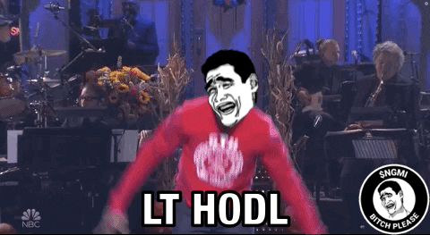 A Man In A Red Shirt Says Lt Hodl In Front Of A Band GIF